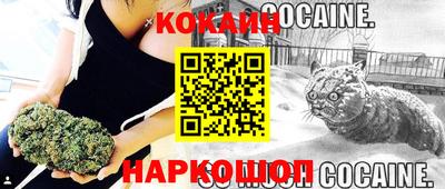 хмурый Сланцы