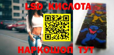 хмурый Сланцы