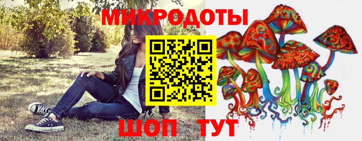 Галлюциногенные грибы Cubensis Шелехов