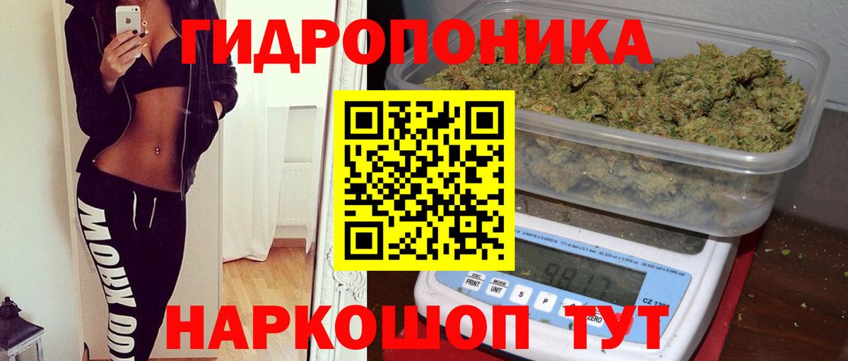 Бошки Шишки марихуана  Бошки Шишки White Widow  Вход с VPN  Шелехов  Конопля конопля 
